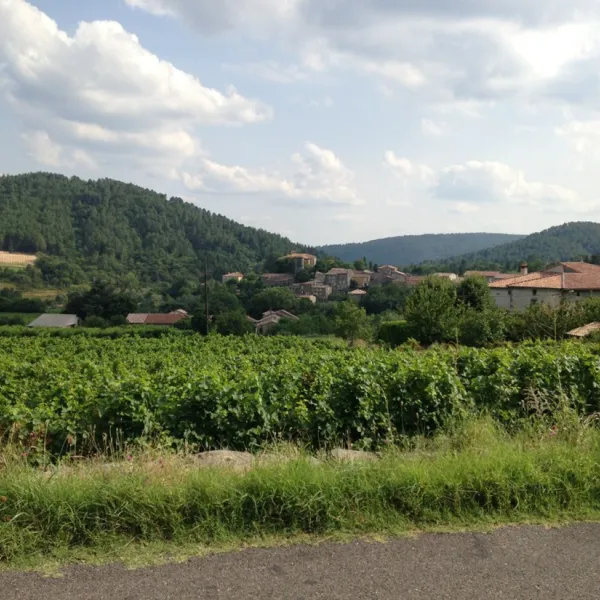 le-roubreau-joannas-ardeche-flnyv