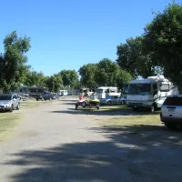 turtle-beach-rv-park-manteca-8wku2