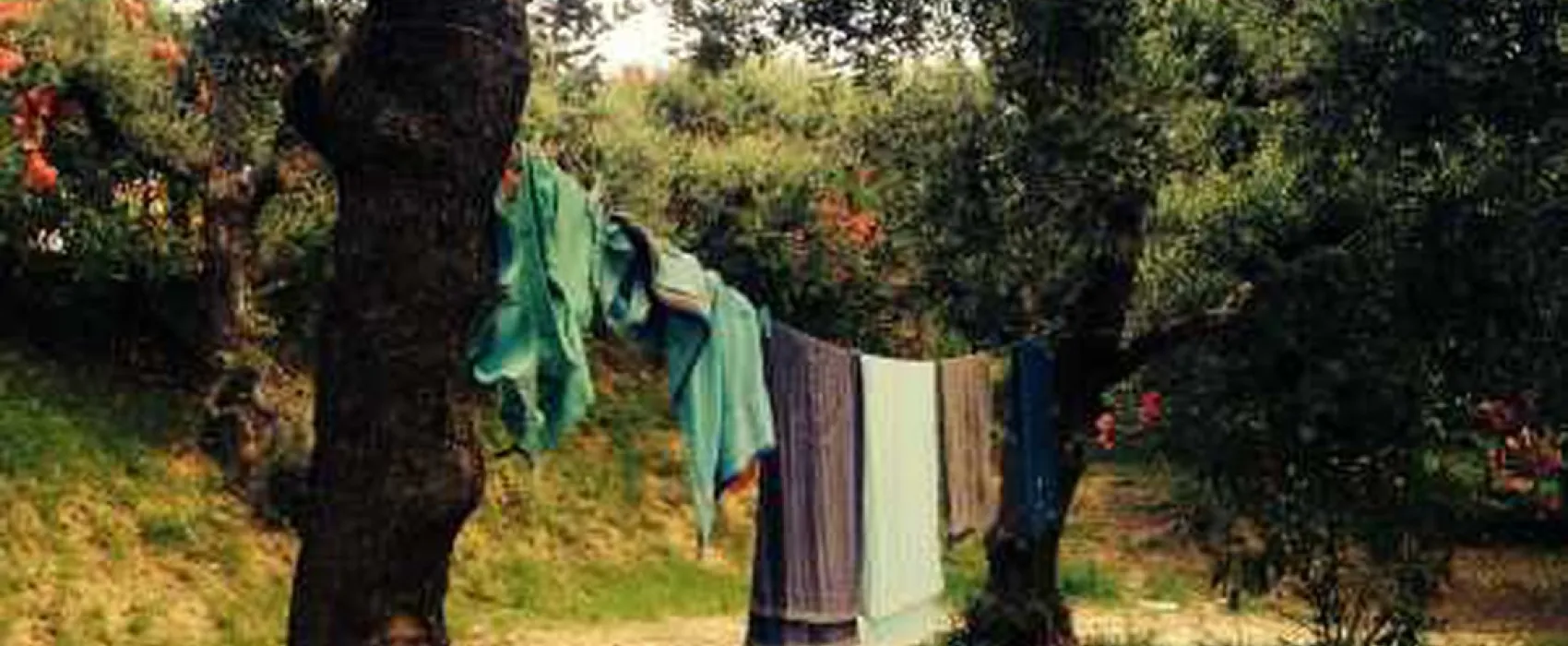 Agriturismo I Cigni