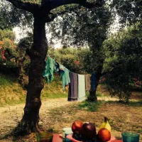 agriturismo-i-cigni-montefiore-dellaso-hz2ey