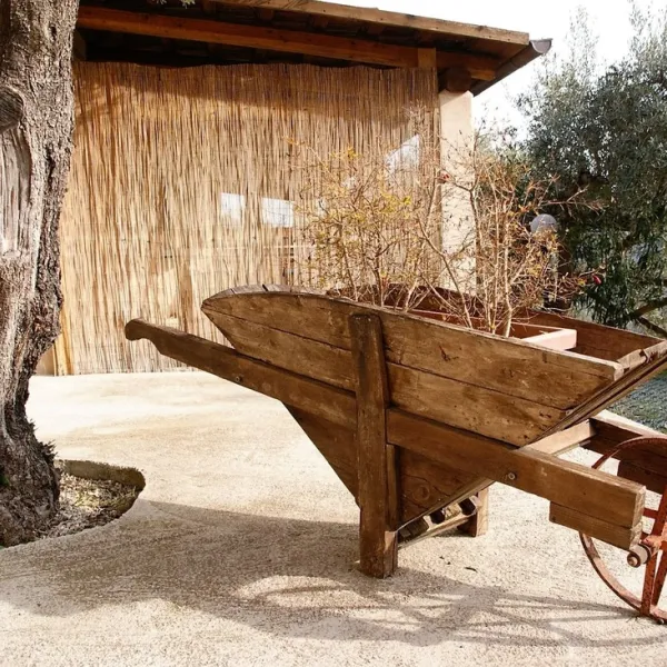 agriturismo-i-cigni-montefiore-dellaso-orie2