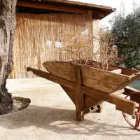 agriturismo-i-cigni-montefiore-dellaso-orie2