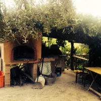 agriturismo-i-cigni-montefiore-dellaso-osjky