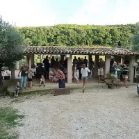 agriturismo-i-cigni-montefiore-dellaso-svwib