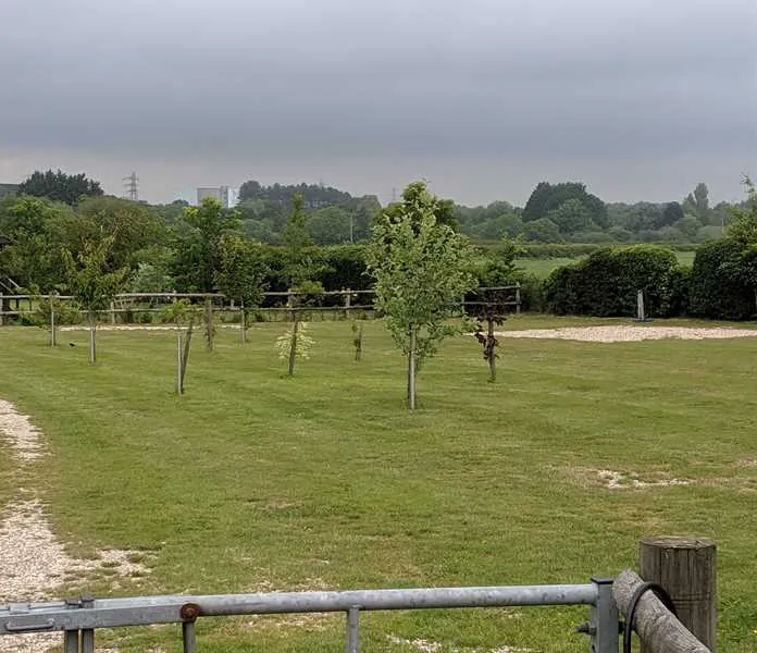 little-birch-caravan-site-certificated-location-dorchester-t4bqx