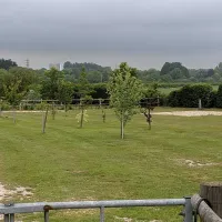 little-birch-caravan-site-certificated-location-dorchester-t4bqx
