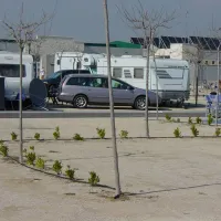 alannia-costa-blanca-crevillente-alicante-eedpl