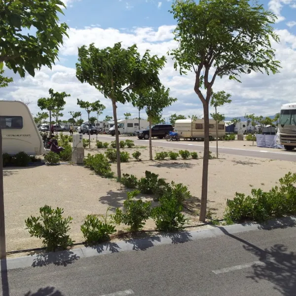 alannia-costa-blanca-crevillente-alicante-fmuoi