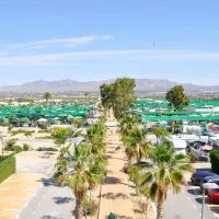 alannia-costa-blanca-crevillente-alicante-jsxd2