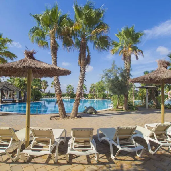 alannia-costa-blanca-crevillente-alicante-mhloc