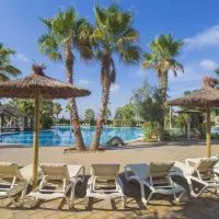 alannia-costa-blanca-crevillente-alicante-mhloc