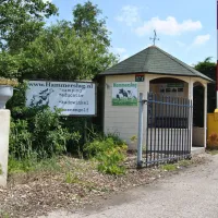 de-hammerslag-westergeest-gbmfw