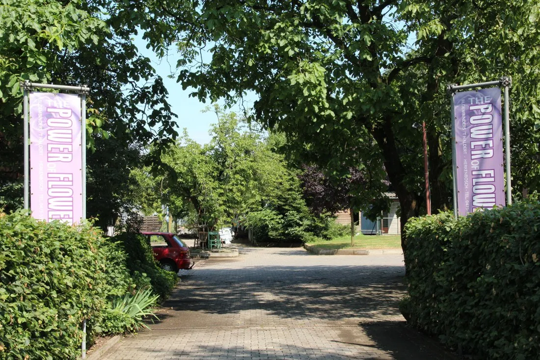 minicamping-t-haldert-herkenbosch-2pjfz