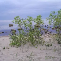 rullsands-camping-skutskar-xldyq