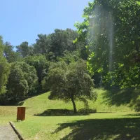 camping-municipal-la-pinede-les-mees-i2kx2