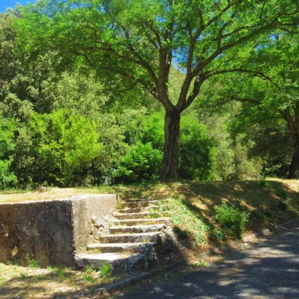 camping-municipal-la-pinede-les-mees-nil62
