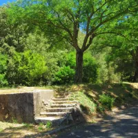 camping-municipal-la-pinede-les-mees-nil62
