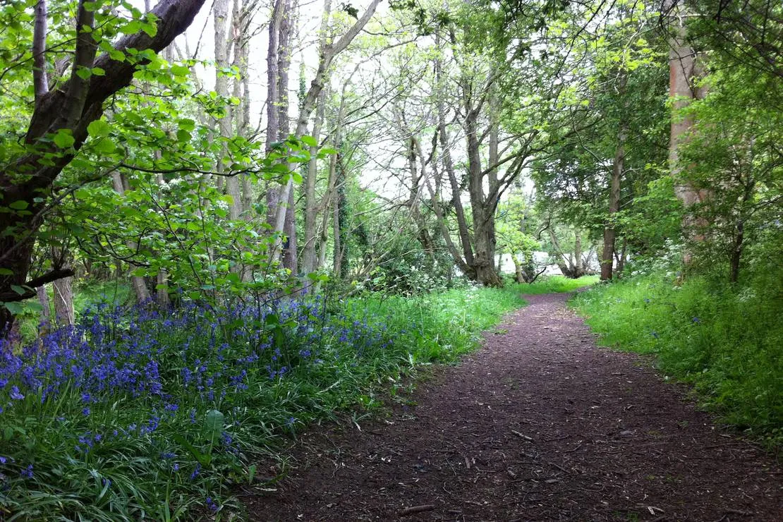 the-green-caravan-park-bishops-castle-udyne