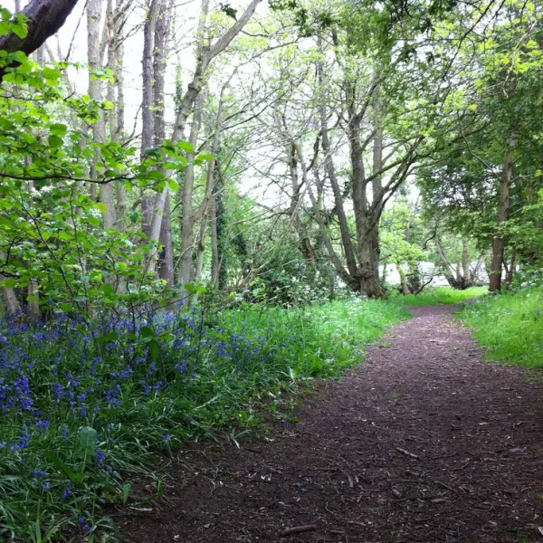 the-green-caravan-park-bishops-castle-udyne