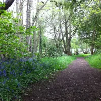 the-green-caravan-park-bishops-castle-udyne