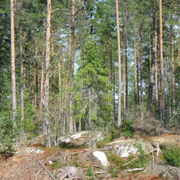 siggefora-camping-jarlasa-wwpml