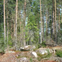 siggefora-camping-jarlasa-wwpml