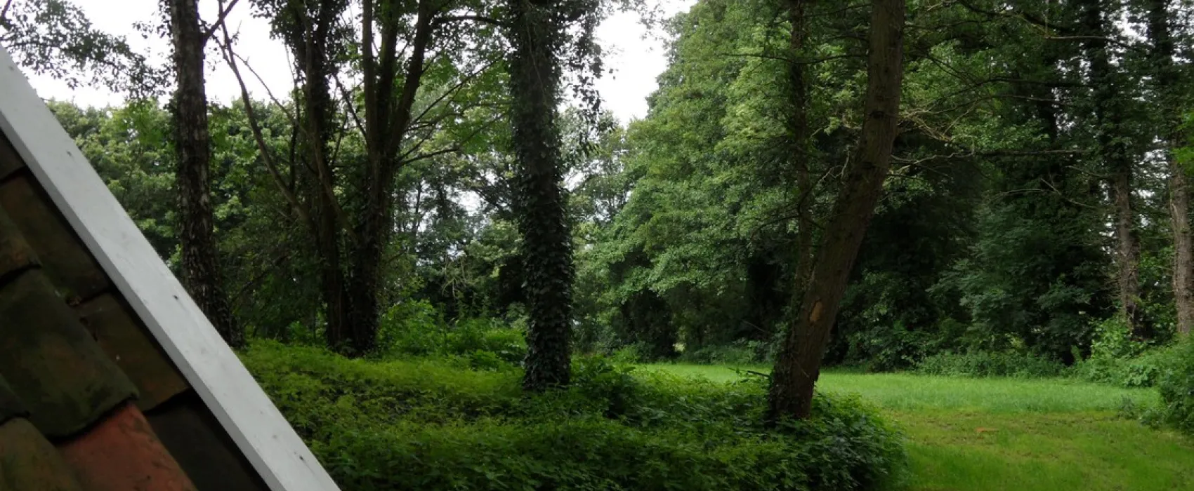 De Rotmanshoeve