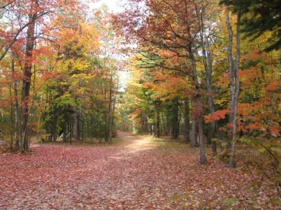 michigan-oaks-camping-resort-indian-river-ogvh5