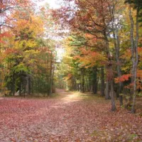 michigan-oaks-camping-resort-indian-river-ogvh5