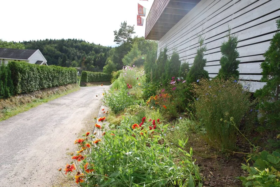sorlandets-naturistsenter-hovag-rehau