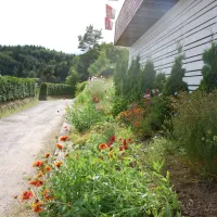 sorlandets-naturistsenter-hovag-rehau