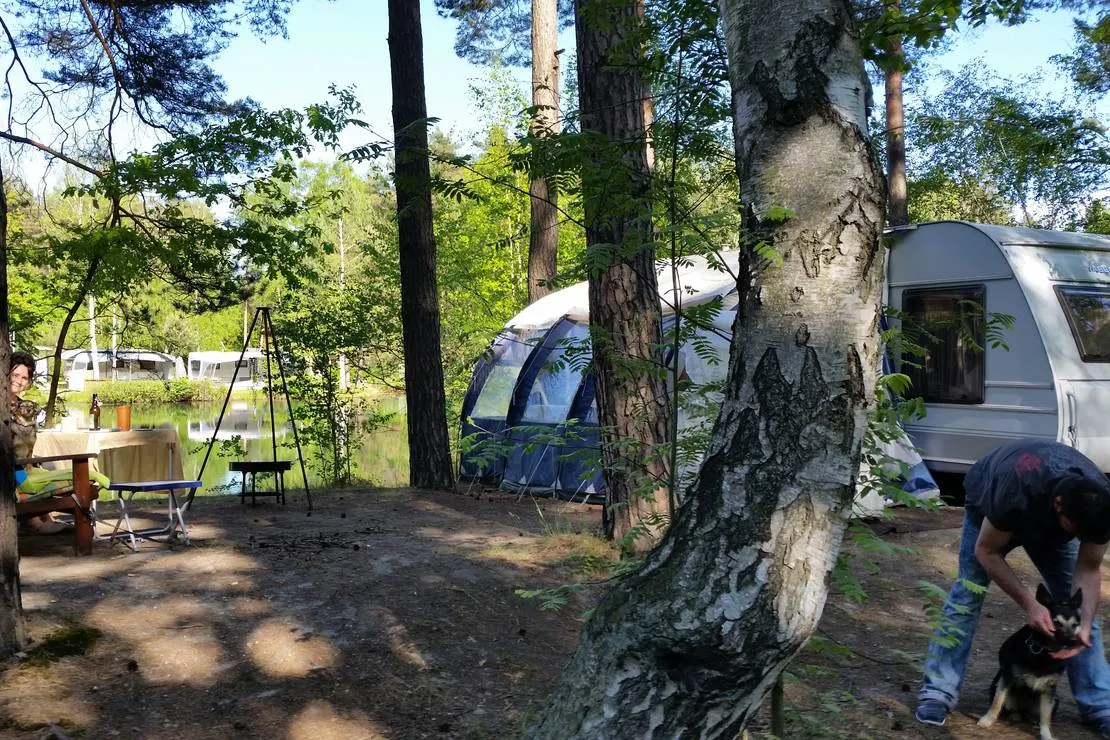 ferienpark-am-waldbad-bernsdorf-bernsdorf-8vqti