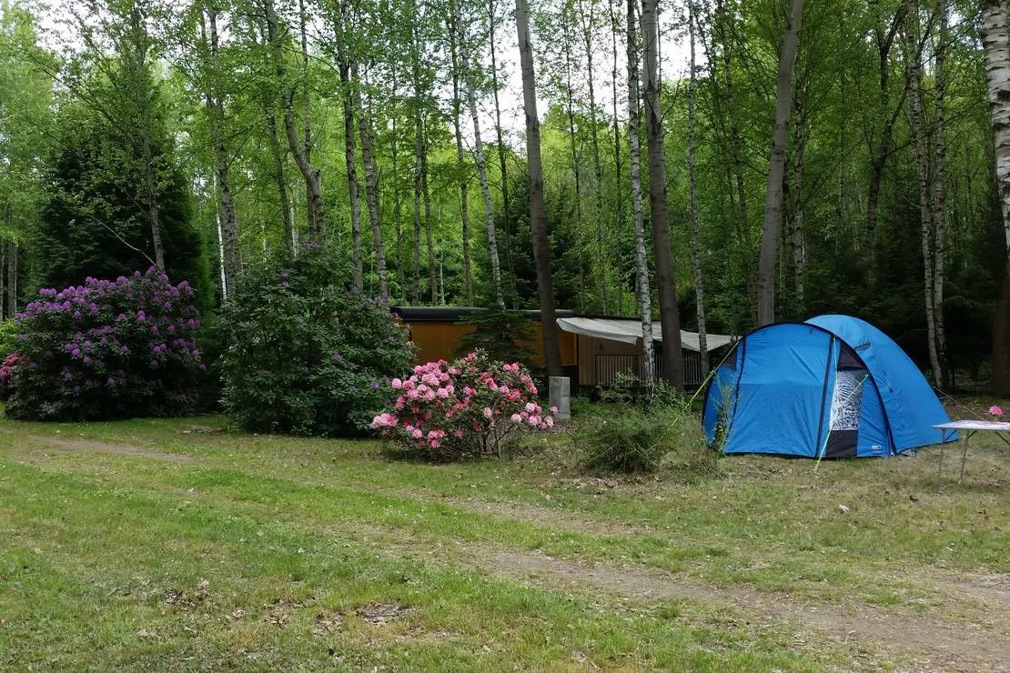 ferienpark-am-waldbad-bernsdorf-bernsdorf-bulpx