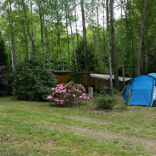 ferienpark-am-waldbad-bernsdorf-bernsdorf-bulpx
