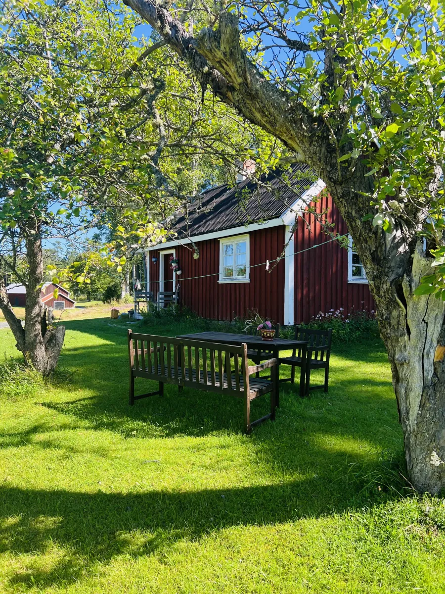 IMG_6021