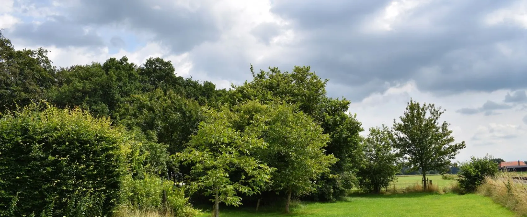 Elzenbos