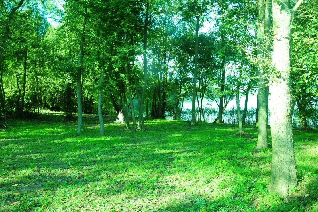 polwysep-sielanka-pole-campingowo-namiotowe-dzwierszno-male-2yalz