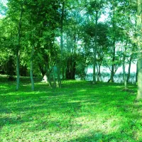 polwysep-sielanka-pole-campingowo-namiotowe-dzwierszno-male-2yalz