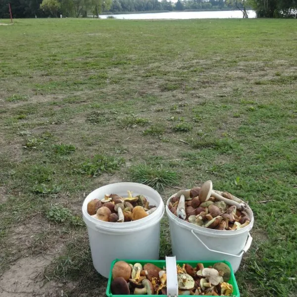 polwysep-sielanka-pole-campingowo-namiotowe-dzwierszno-male-v1g3l