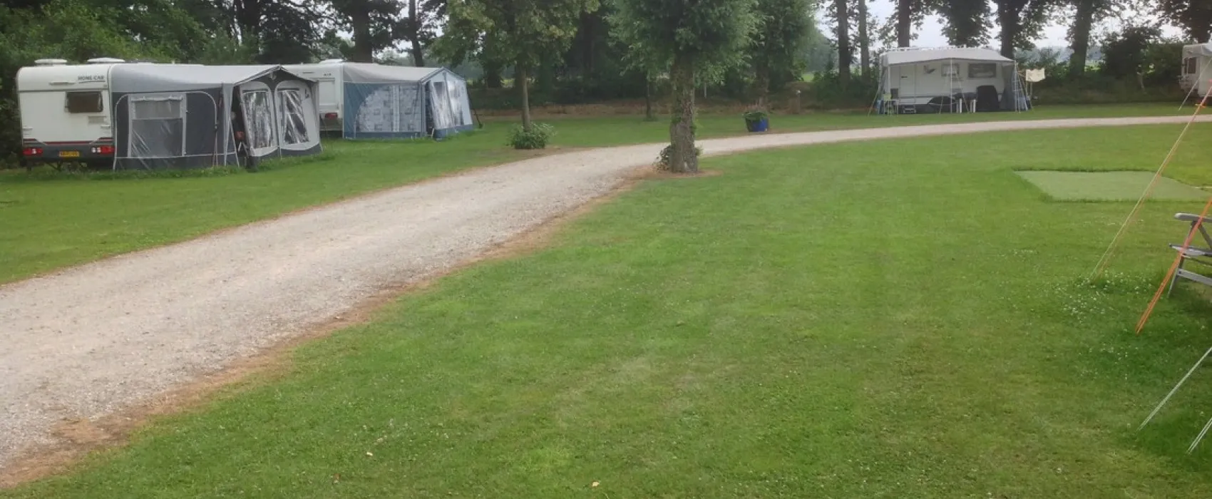 Wildzoom