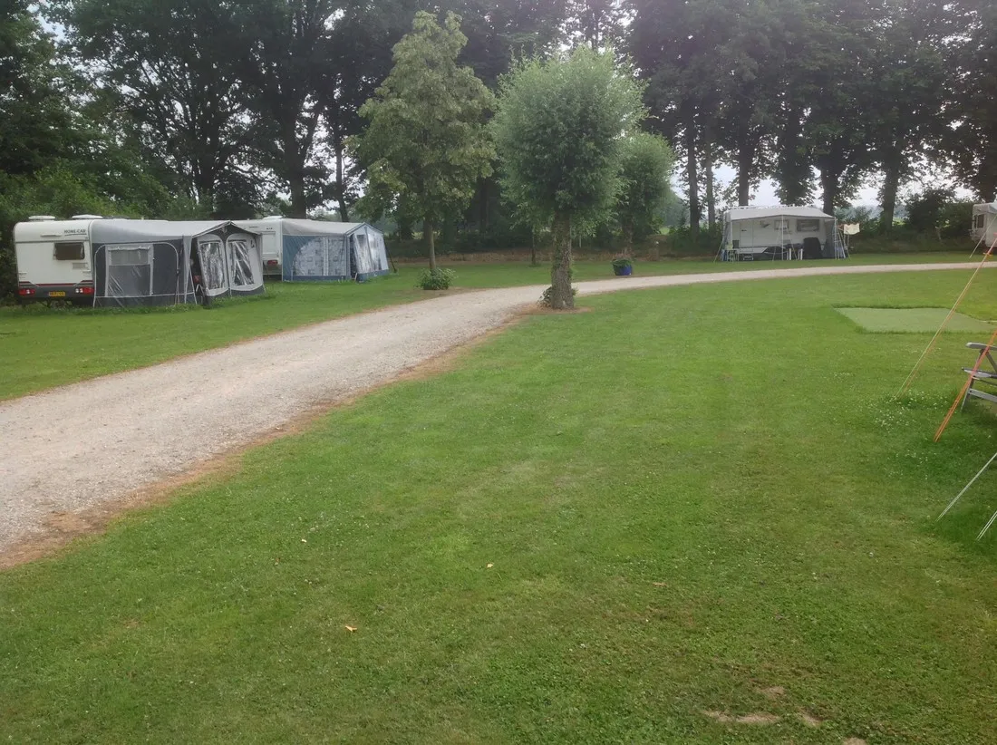 wildzoom-uddel-cyf9q