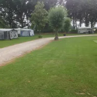 Wildzoom