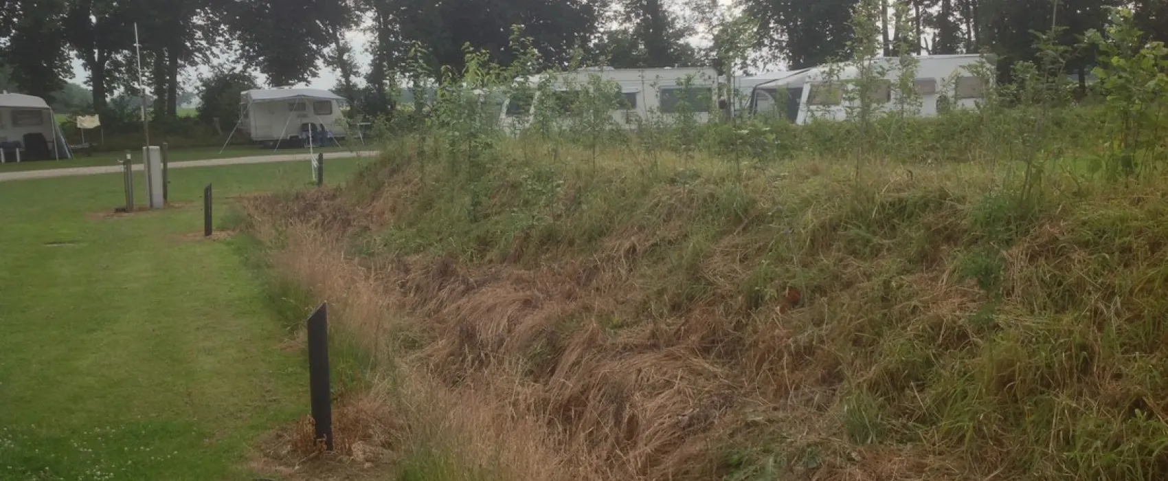 Wildzoom