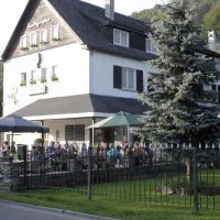 les-nymphes-la-roche-la-roche-en-ardenne-0ppgw