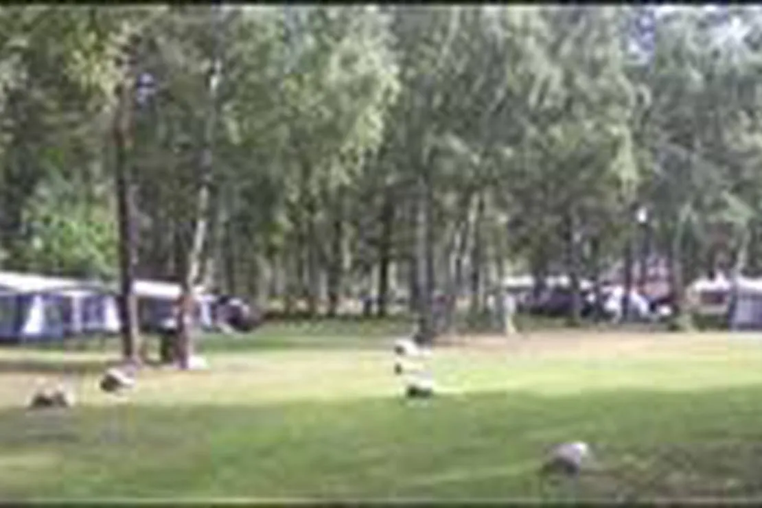 alholmens-bad-camping-solvesborg-4vzbt