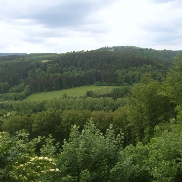 les-salins-stoumont-3mfab