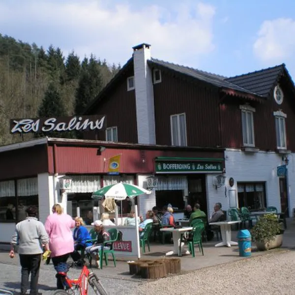 Les Salins
