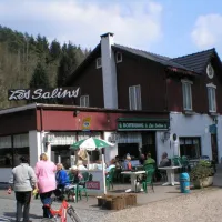 Les Salins