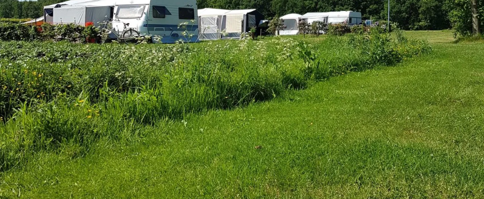 de Hoge Bomen