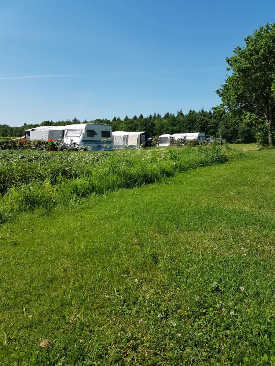 de-hoge-bomen-eeserveen-dnby3